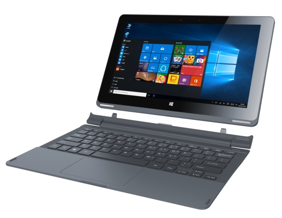 人体胸部结构图